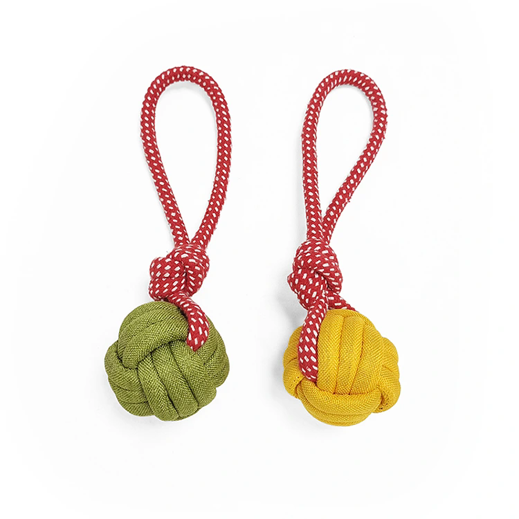 무엇이 코튼 로프 장난감을 안전하고 지속 가능한 애완동물 놀이의 미래로 만드는가?